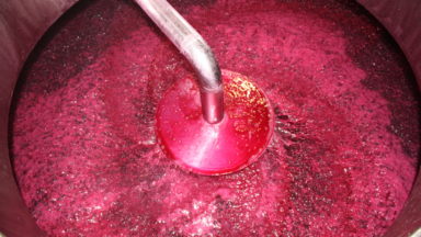Elaboración del vino